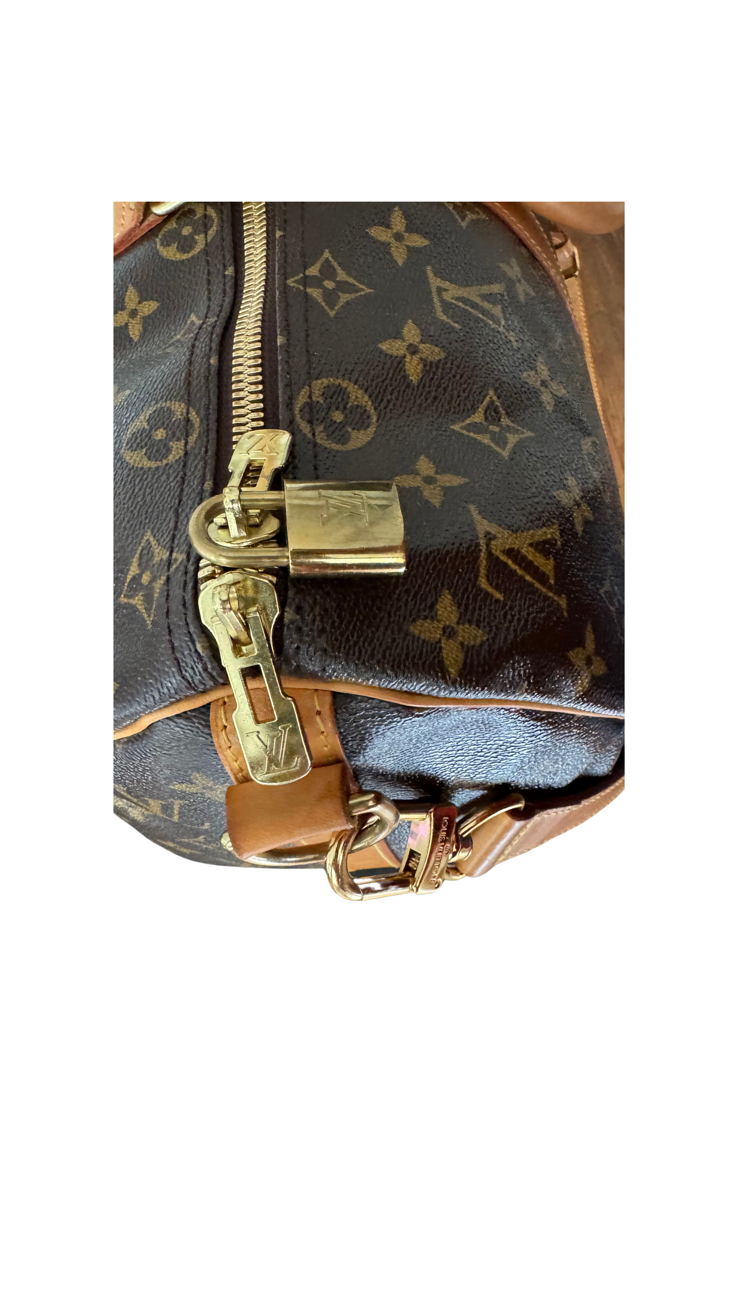 LOUIS VUITTON Bag